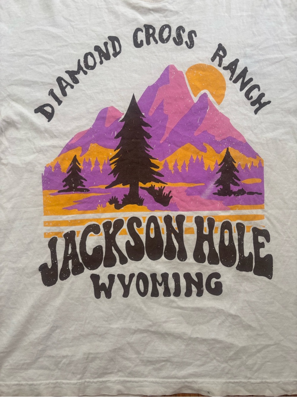 Diamond Cross Ranch Jackson Hole Wyoming Graphic Tee Large Western
